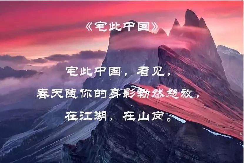 植物大战僵尸14